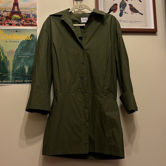 NWT AEXAE Green Cotton Shirt Dress - Picture 4 of 5